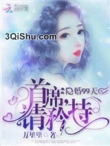 《隐婚99天：首席，请矜持》全本TXT下载-作者：万里里