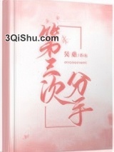 第三次分手图片