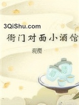 衙门对面小酒馆图片