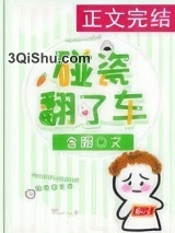 碰瓷翻了车图片