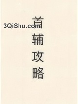 首辅攻略（重生）图片