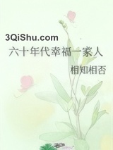 《六十年代幸福一家人》全本TXT下载-作者：相知相否