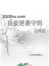 良妾逆袭守则图片