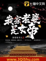 《我家老婆是女帝》全本TXT下载-作者：深巷说书人