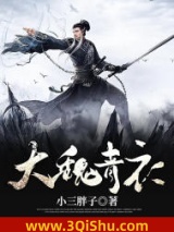 《大魏青衣》全本TXT下载-作者：小三胖子