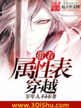 《带着属性表穿越》全本TXT下载-作者：岁年人不同