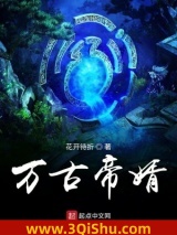 万古帝婿图片