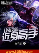 《校花的近身高手》全本TXT下载-作者：公子迁