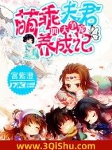 四夫争宠：萌乖夫君养成记小说