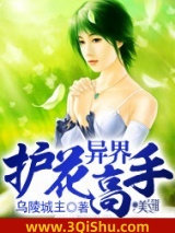 《异界护花高手》全本TXT下载-作者：乌陵城主