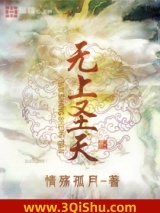 《无上圣天》全本TXT下载-作者：情殇孤月