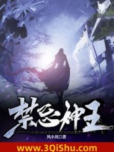 《禁忌神王》全本TXT下载-作者：风小贝