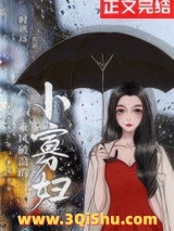 《乘风破浪的小寡妇》全本TXT下载-作者：时玖远
