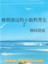 被我渣过的小狼狗黑化了图片