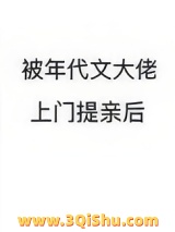 《被年代文大佬上门提亲后》全本TXT下载-作者：砚唐