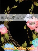 成为大佬后我穿回来了图片