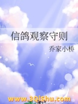 信鸽观察守则图片