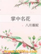 掌中名花小说