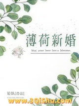《薄荷新婚》全本TXT下载-作者：晏执