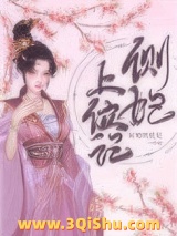 侧妃上位记图片