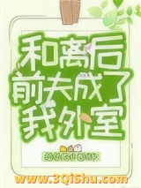 和离后前夫成了我外室图片