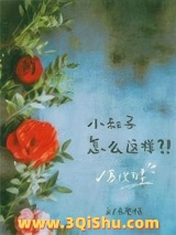 《寡嫂为妻》全本TXT下载-作者：木厘枝
