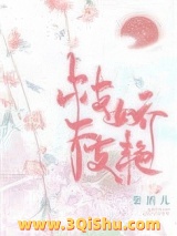《枝枝娇艳》全本TXT下载-作者：梨酒儿