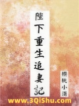 《陛下重生追妻记》全本TXT下载-作者：樱桃小酒