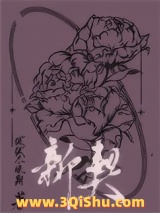 新契图片