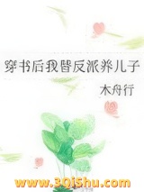 《穿书后我替反派养儿子》全本TXT下载-作者：木舟行