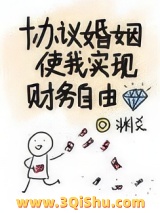 《协议婚姻使我实现财务自由》全本TXT下载-作者：渊爻
