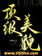 《顶级美貌》全本TXT下载-作者：大鹅踏雪泥