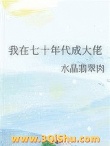 我在七十年代成大佬图片