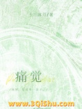 《痛觉》全本TXT下载-作者：十三陈月