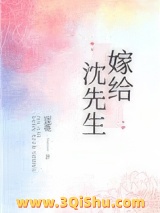 《嫁给沈先生》全本TXT下载-作者：夜蔓
