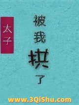 《太子失忆后被我拱了》全本TXT下载-作者：慕如初