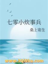 《七零小炊事兵》全本TXT下载-作者：桑上寄生
