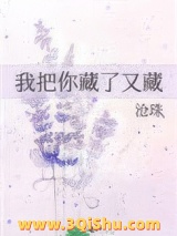 《我把你藏了又藏》全本TXT下载-作者：沧珠
