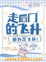 《走后门的飞升，那也是飞升！》全本TXT下载-作者：缘.梦.