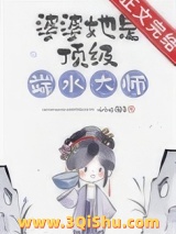 《婆婆她是顶级端水大师》全本TXT下载-作者：小小小邪子