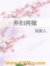 《弃妇再嫁（种田）》全本TXT下载-作者：双面人