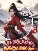 拥有游戏系统的我穿进了匹配世界小说