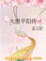 大唐平阳传图片