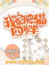 《我家肥猫四岁半》全本TXT下载-作者：沧澜弄月