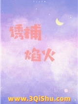 诱捕焰火[娱乐圈]图片