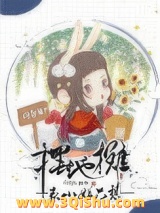 表小姐只想摆地摊图片