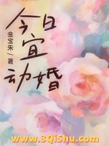 《今日宜动婚》全本TXT下载-作者：金宝朱