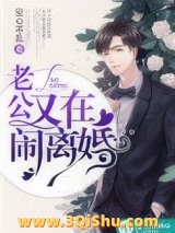 老公又在闹离婚小说