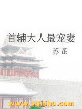 首辅大人最宠妻图片