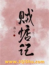 《贼惦记》全本TXT下载-作者：泳宁